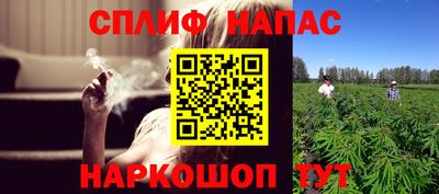 стафф Будённовск