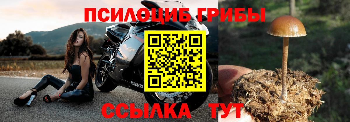 Галлюциногенные грибы Magic Shrooms Тула