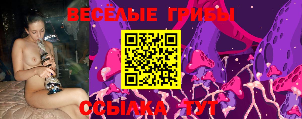 Галлюциногенные грибы Magic Shrooms  Вход с VPN  Псилоцибиновые грибы Psilocybine cubensis  Тула 
